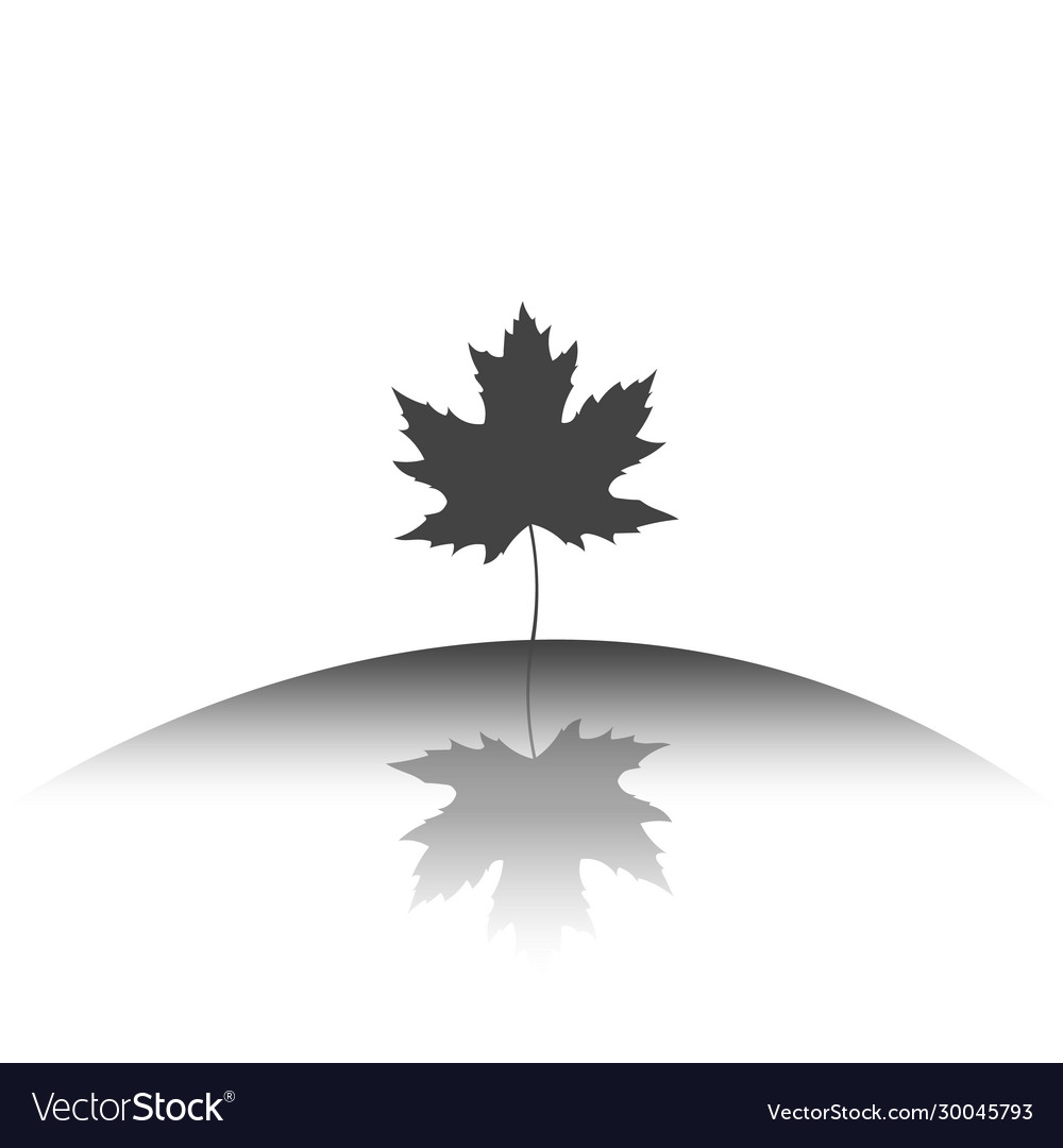 Autumn leaf with reflection in water gray