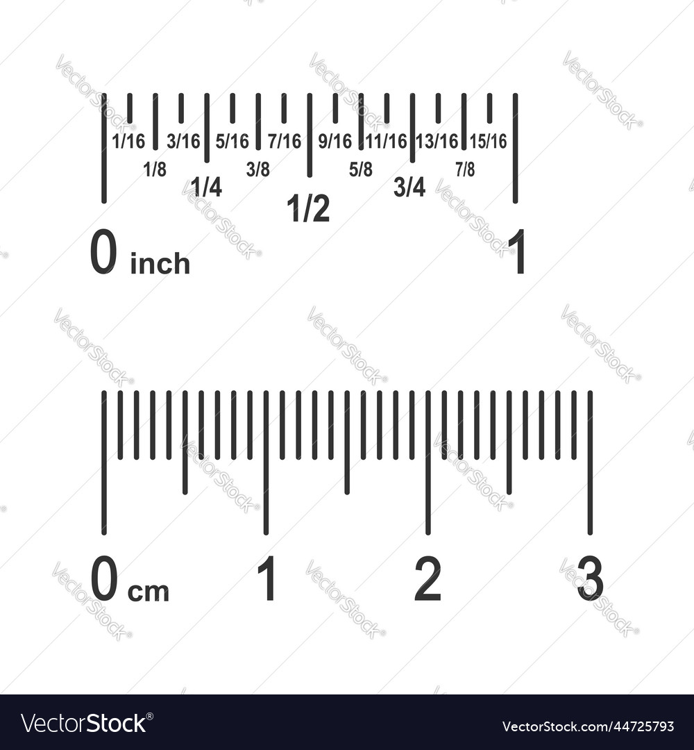 Parts of ruler scale inch divided into fractions Vector Image