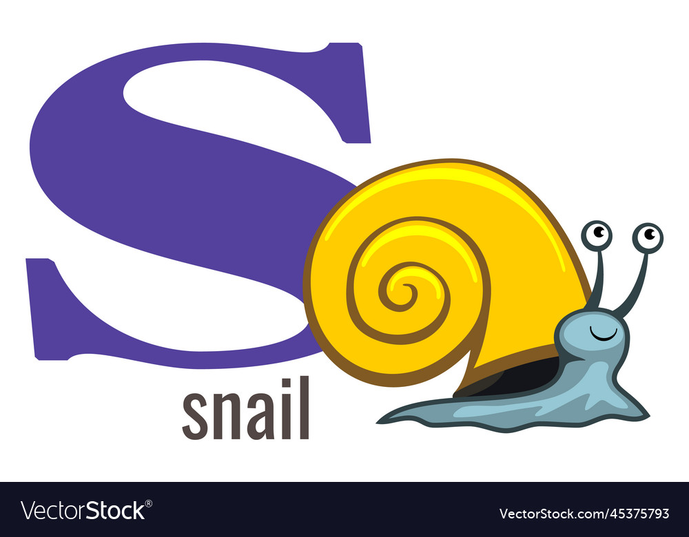 S word snail animal with english alphabet letter Vector Image