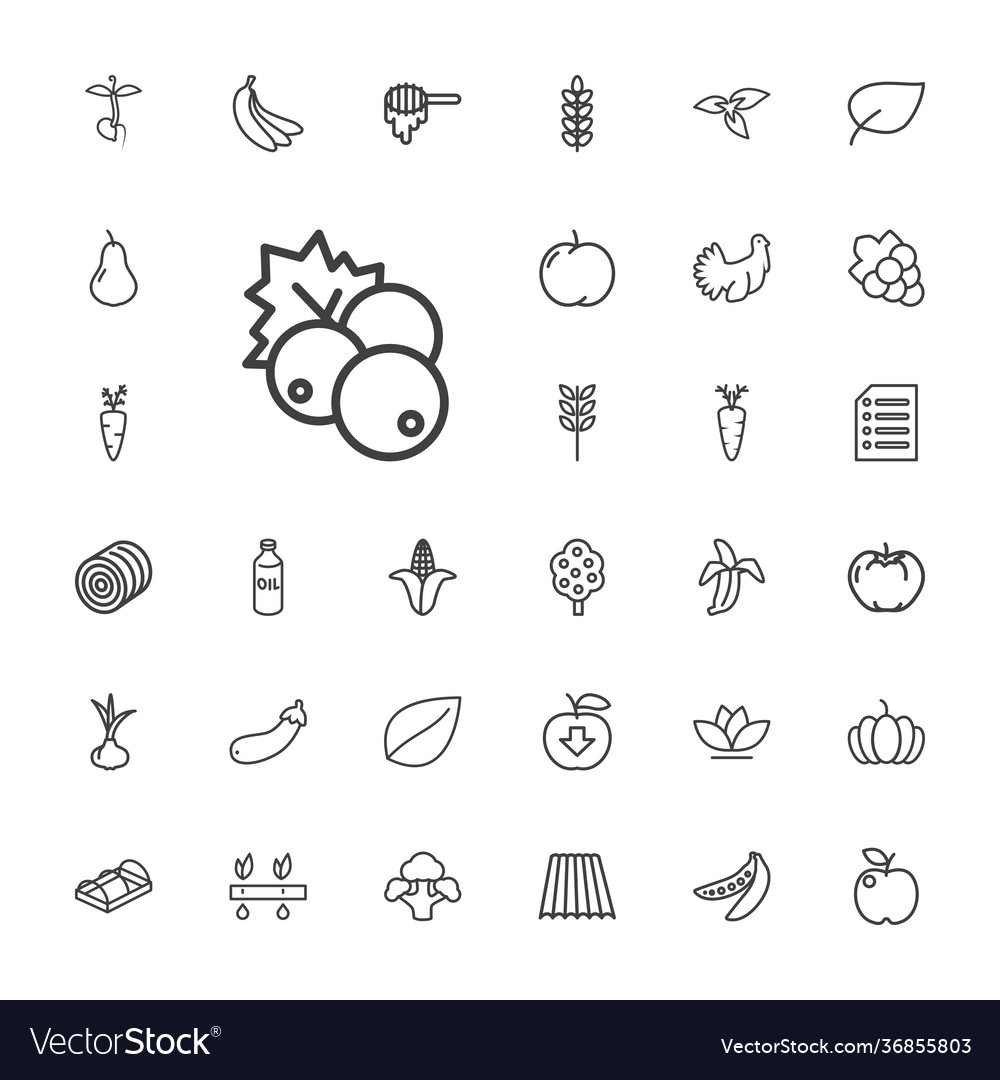 33 organic icons Royalty Free Vector Image - VectorStock