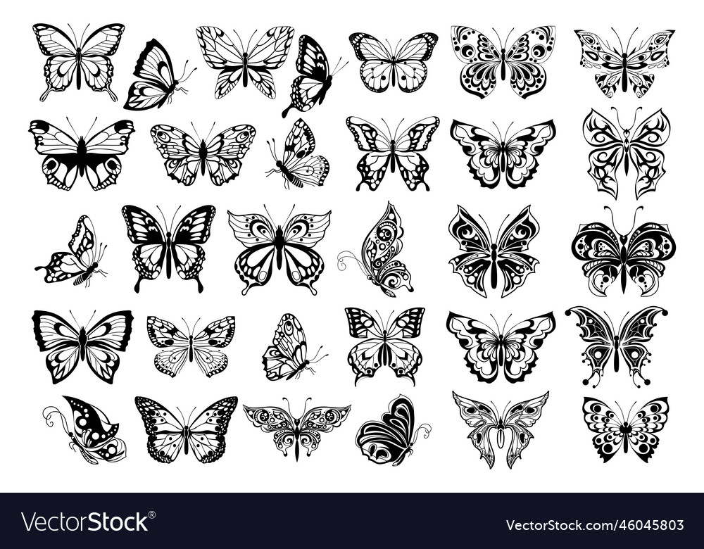 Butterflies Contour Drawings Set Royalty Free Vector Image