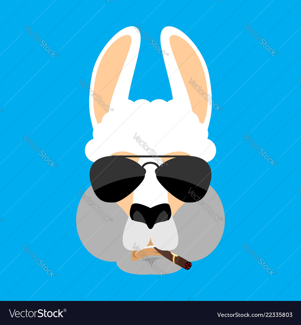Cool Smoking Lama - Serious Face