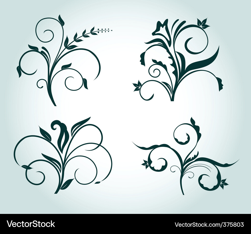 Floral design elements Royalty Free Vector Image