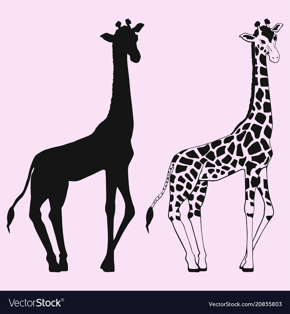 Giraffe Monogram Vector Illustration Silhouette Stock Vector