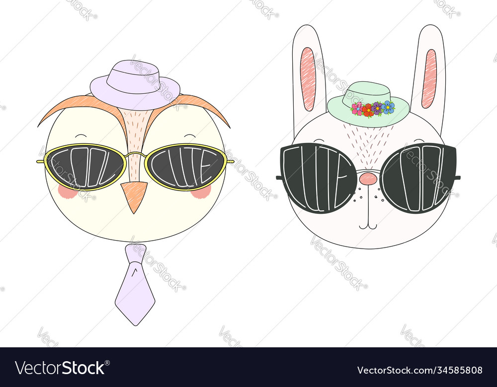 Animals in cute and cool sunglasses