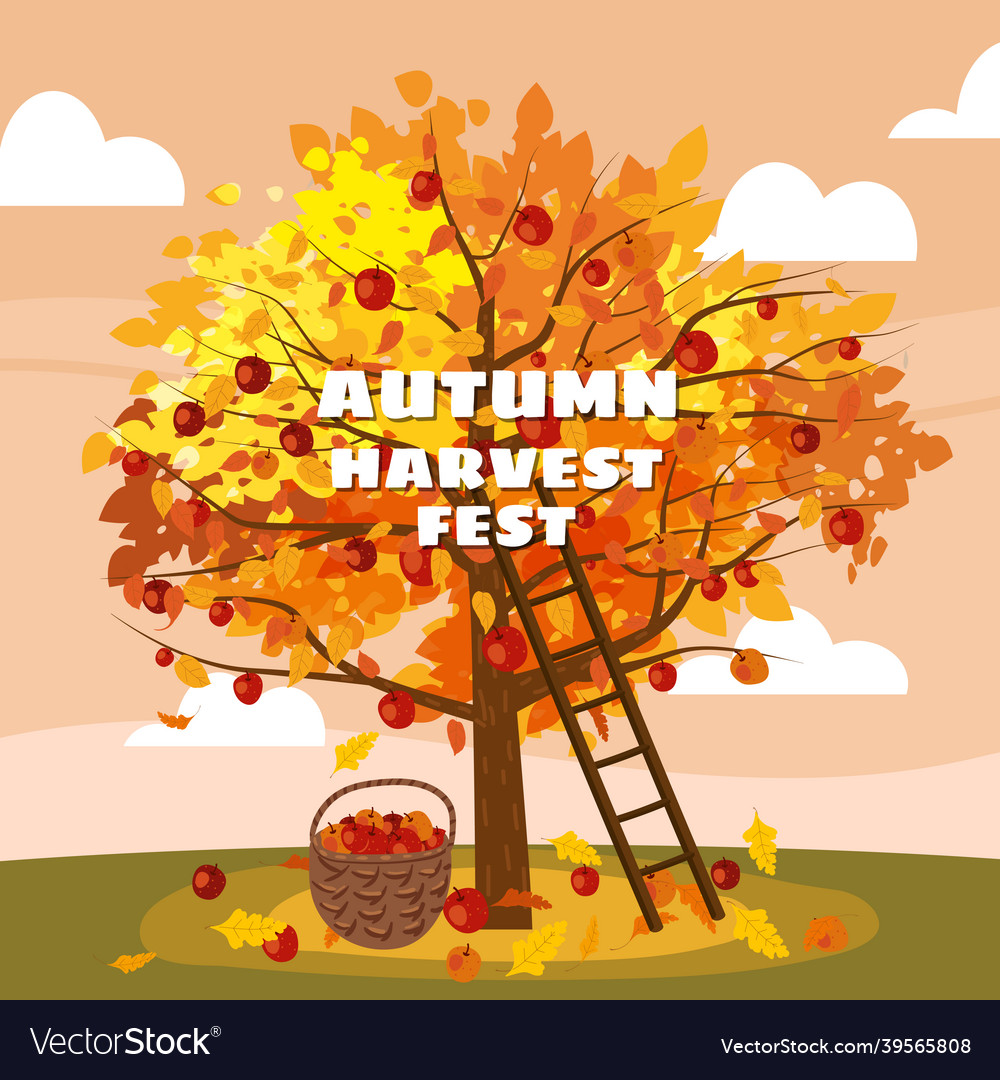 Autumn harvest fest apple tree with basket Vector Image