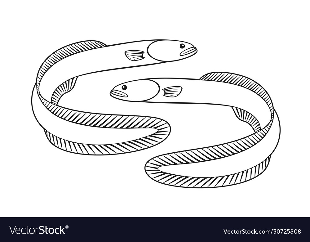 Eel ClipArt Black And White