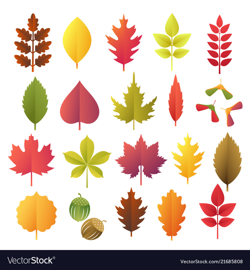 Paper Cut Autumn Leaves Set Fall Colorful Vector Image