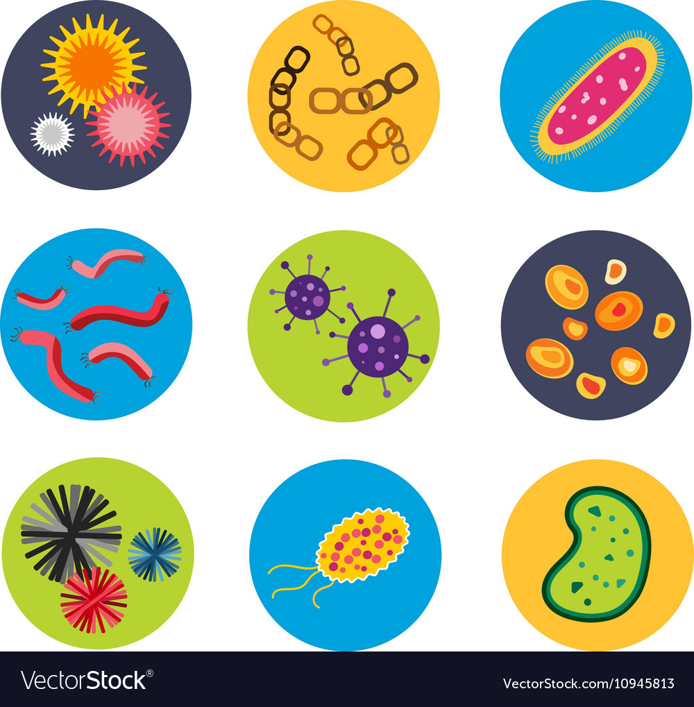 Bacteria Virus Icon Royalty Free Vector Image - VectorStock