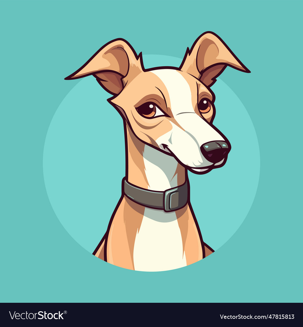 Cute cartoon greyhound dog Royalty Free Vector Image