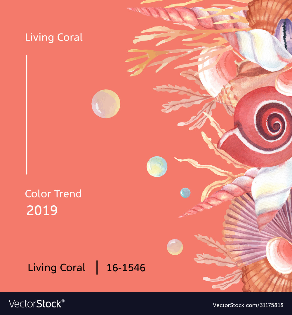 Color coral 2019 trendy sea shell marine life