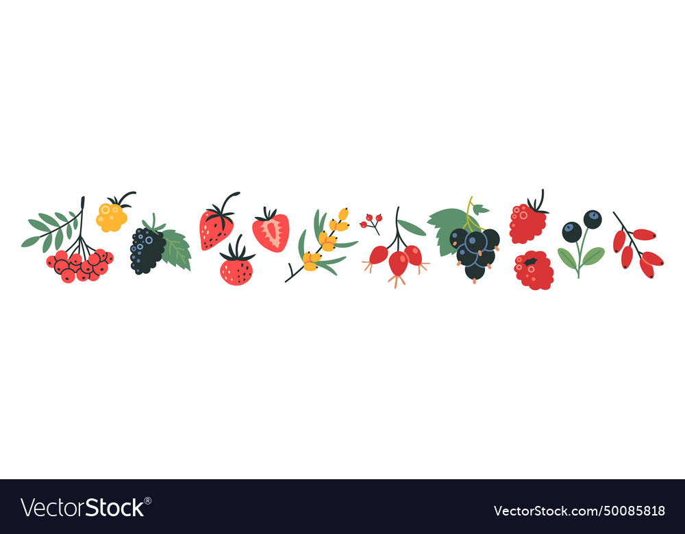 Set of berries like raspberry strawberry rowan