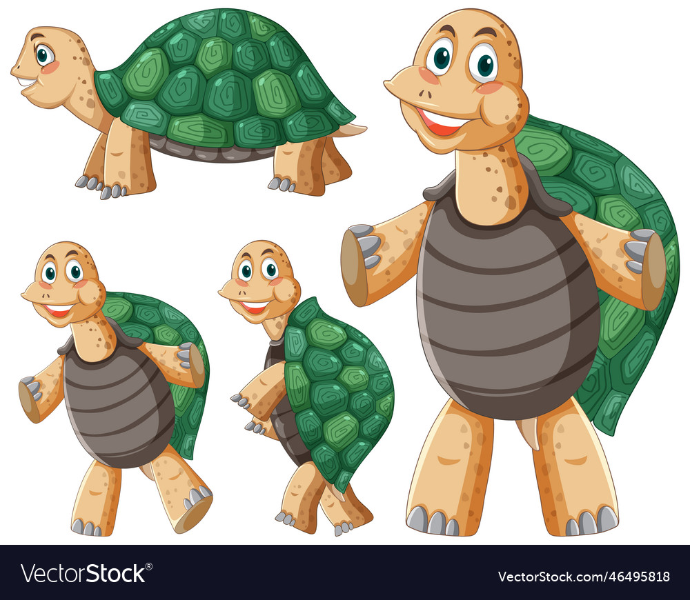 Set Of Turtle Cartoon Character Royalty Free Vector Image