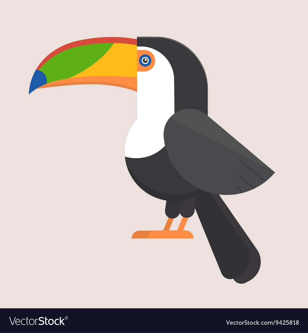 Toucan Bird Flat Icon Royalty Free Vector Image