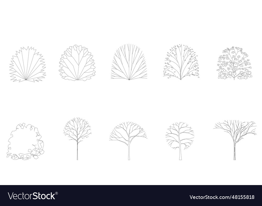 Baum Linie Zeichnung Seitenansicht Grafik