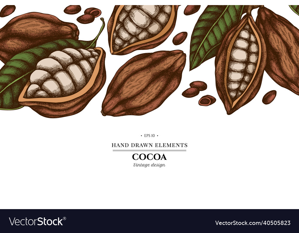 Colored elements design with cocoa beans