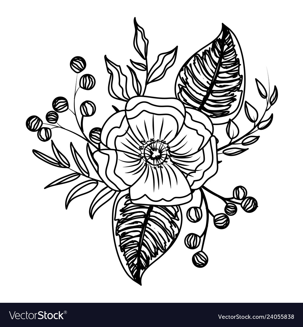 Flower with leaves drawing Royalty Free Vector Image