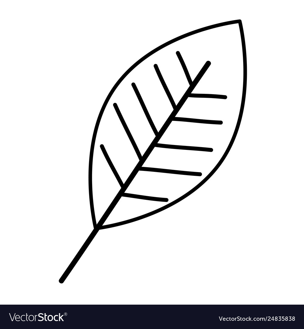 Leaf single decorative icon Royalty Free Vector Image