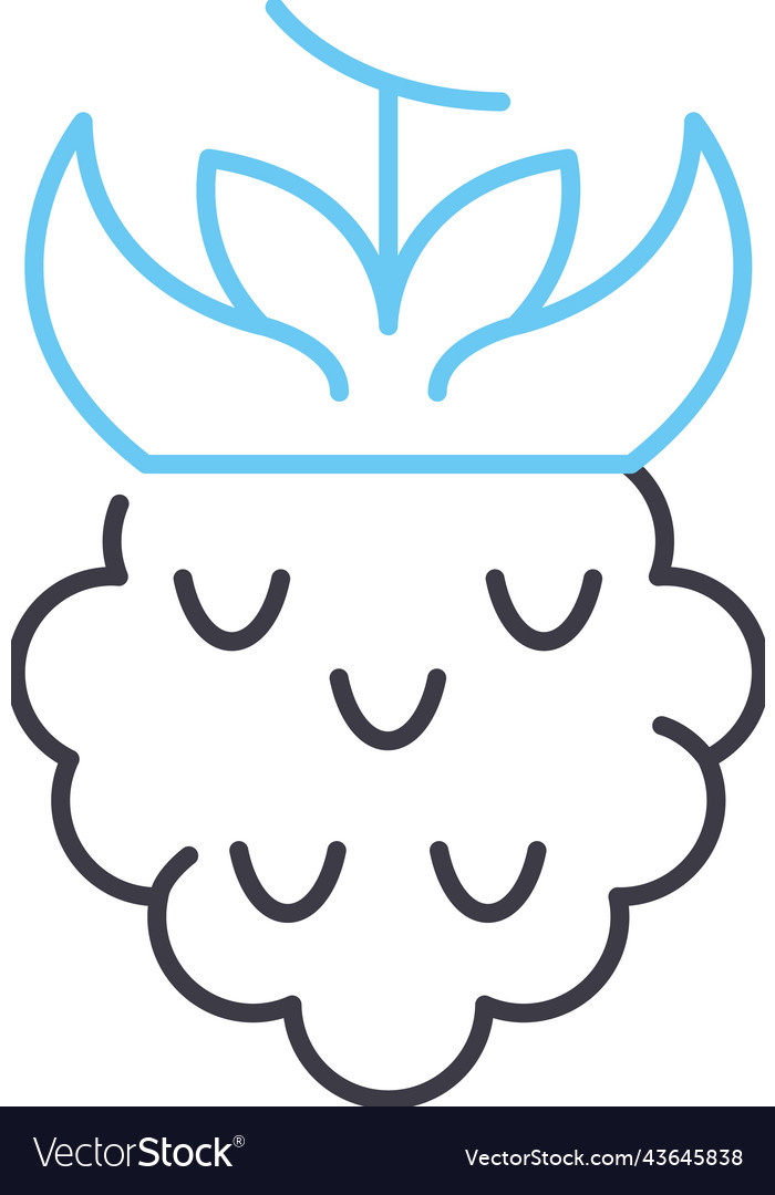 Raspberry Line Icon
