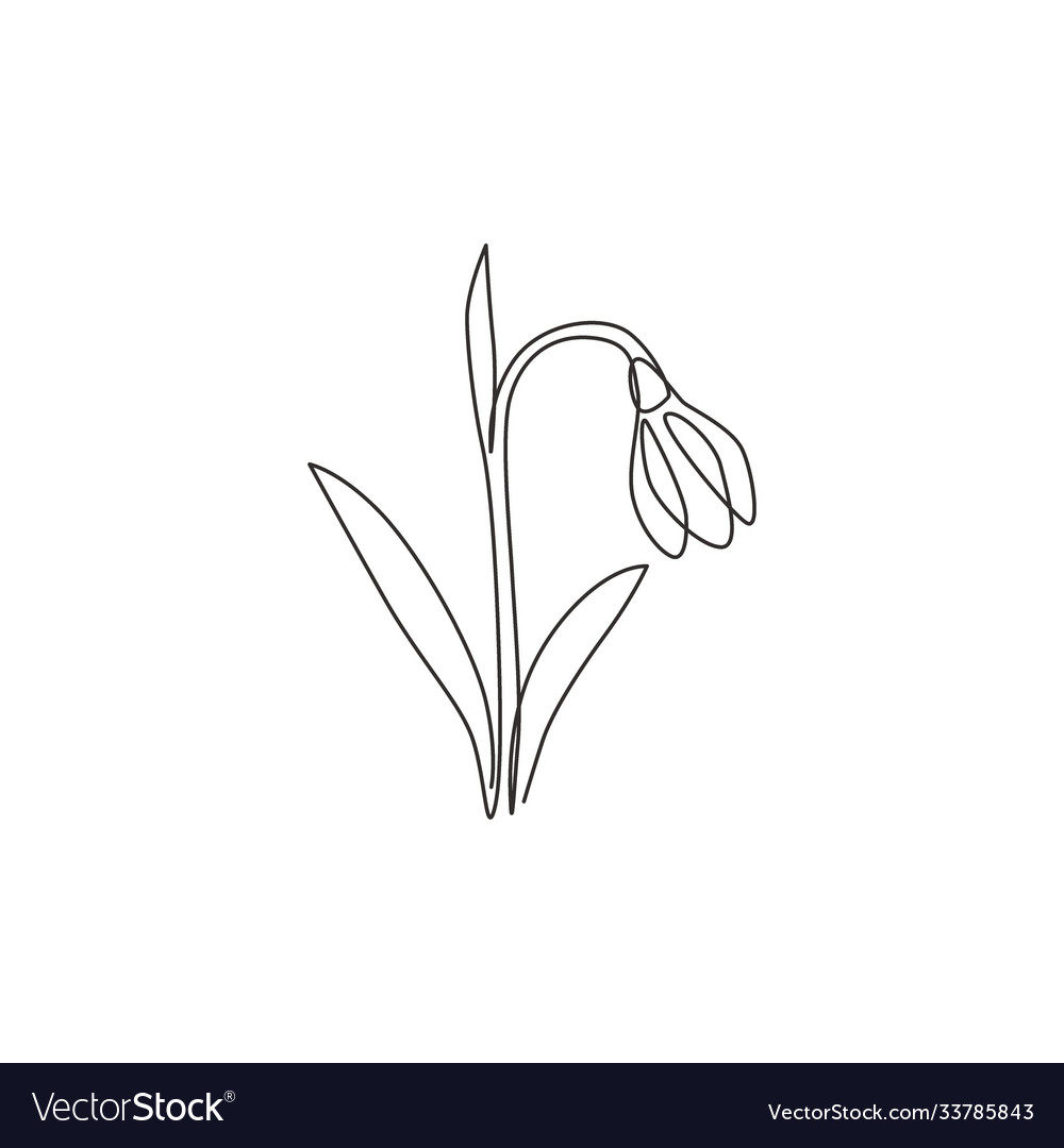 One Continuous Line Drawing Beauty Fresh Vector Image