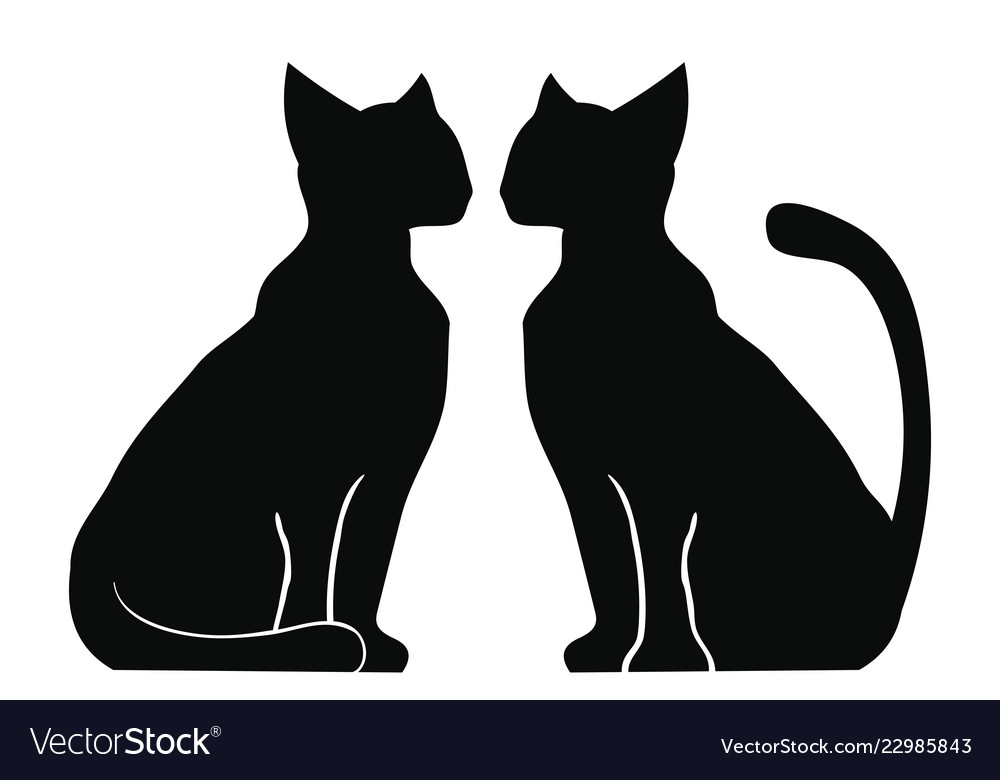 two cats facing each other vector illustration on white background