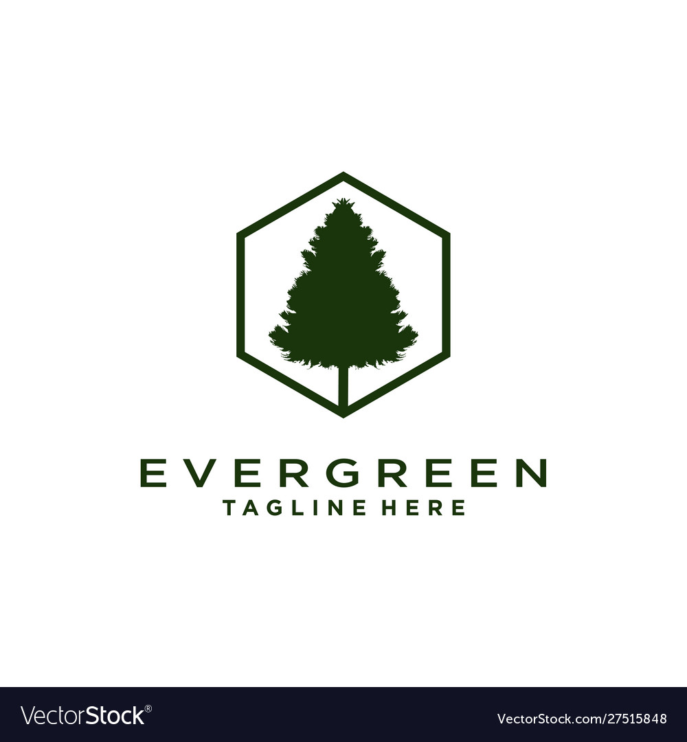 Elegantes Baum-Logo - Pine & Spruce