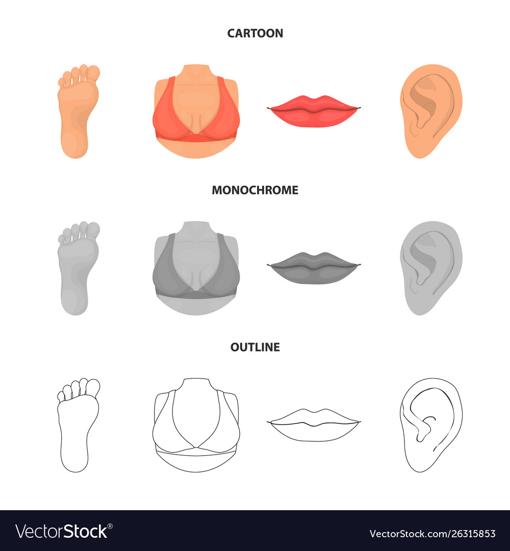 Body and part symbol set vector image Body and part symbol set