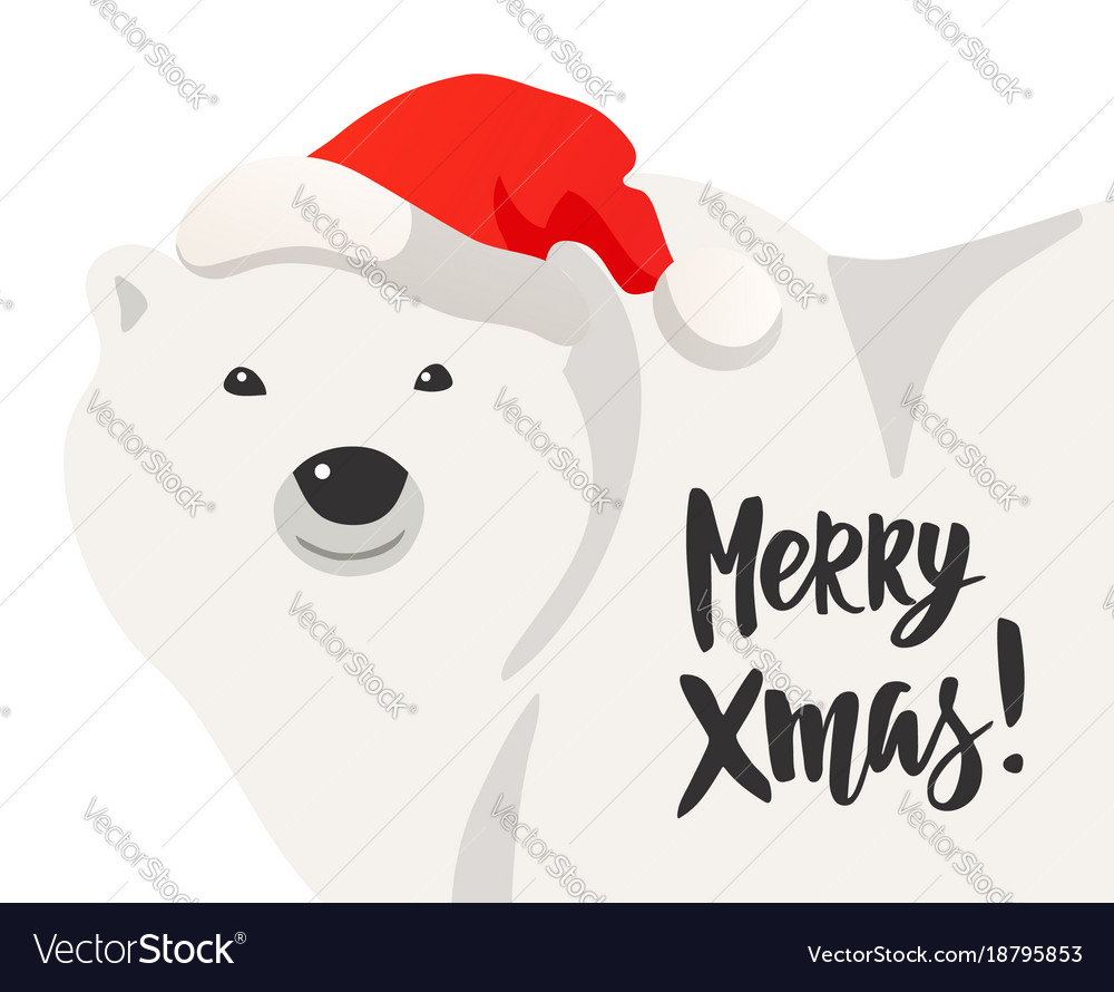 white polar bear christmas