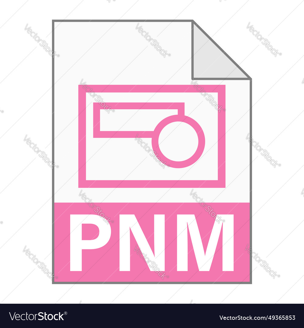 Modern flat design of pnm file icon for web vector image Modern flat design of pnm file icon for web