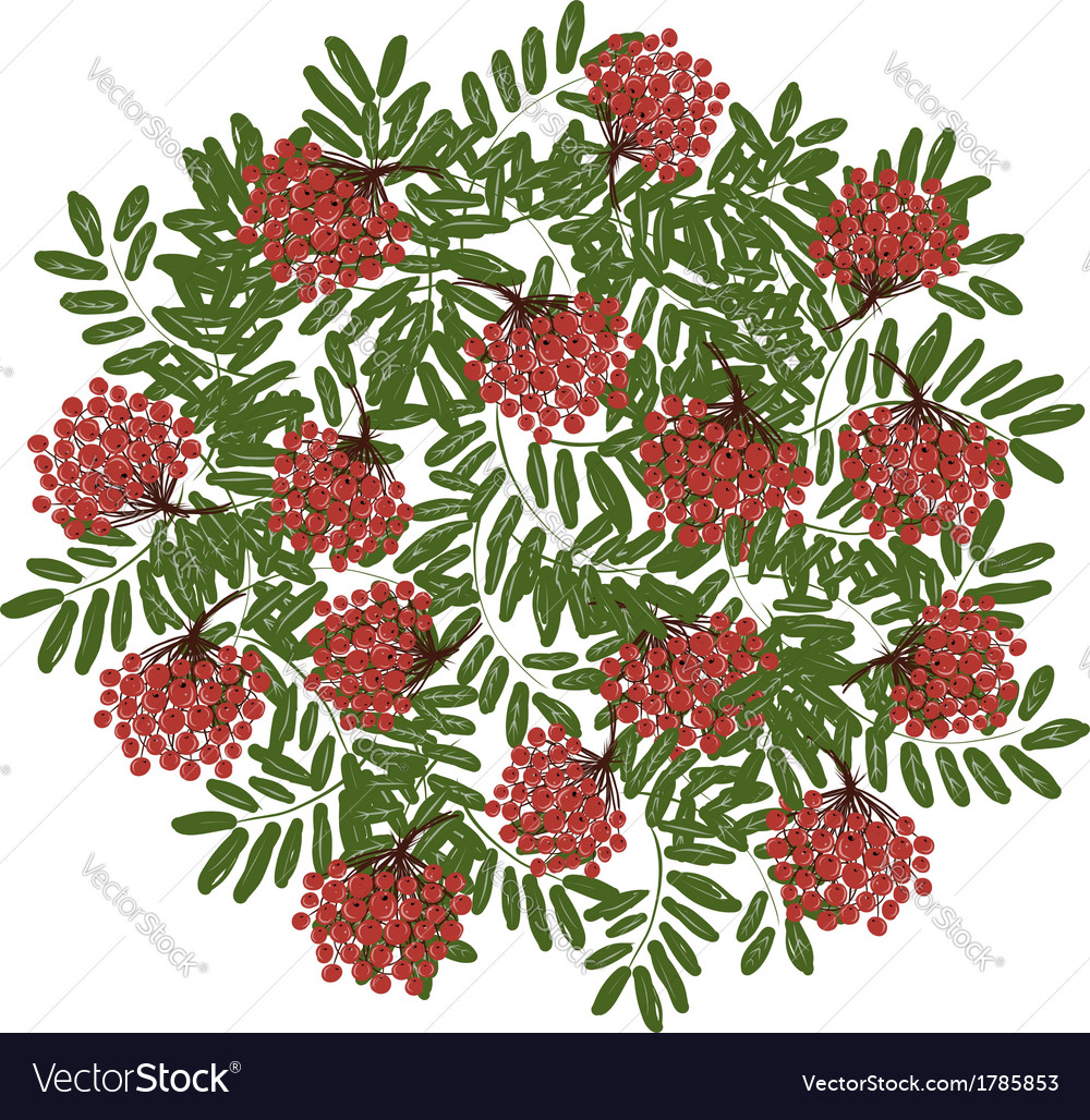 Rowan branch with berries frame for your design