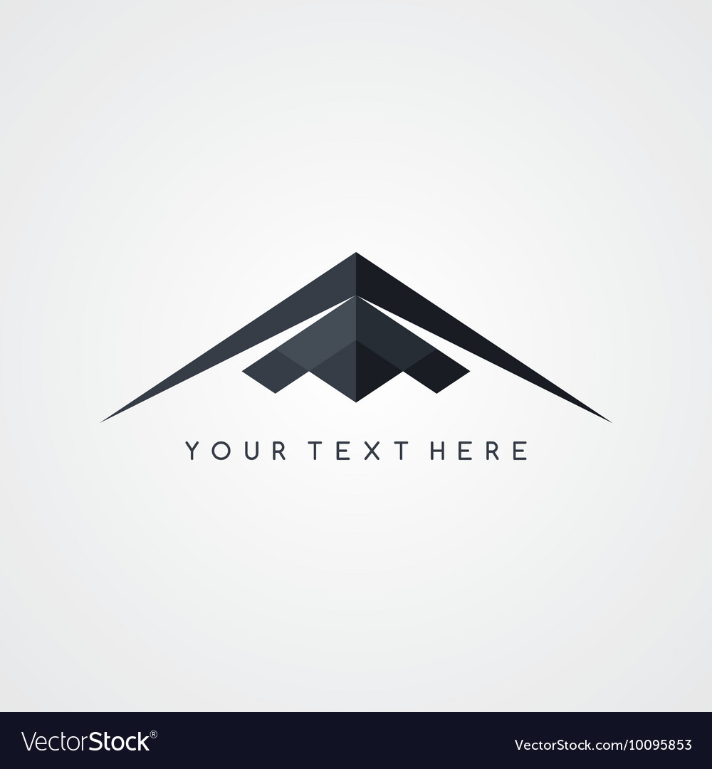 Stealth logo aircraft airplane logotype