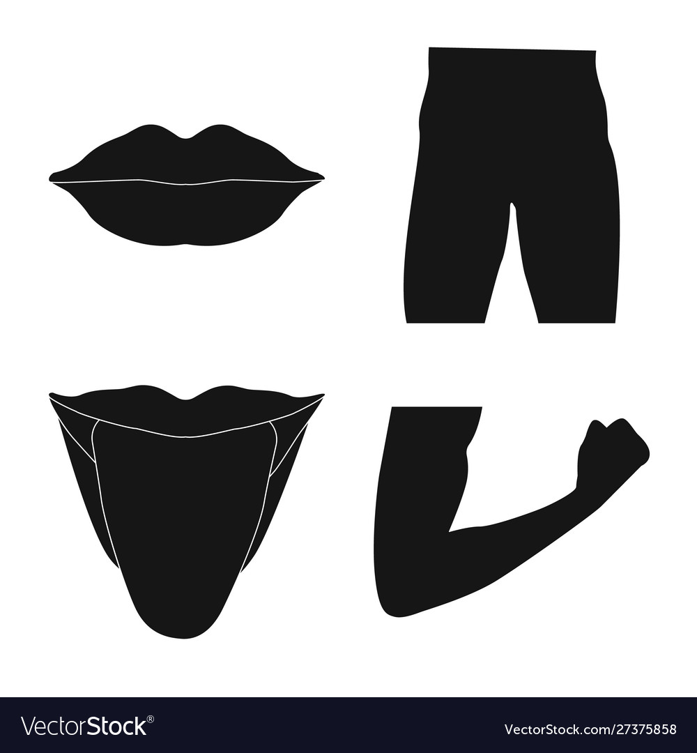 Design human and part symbol set vector image Design human and part symbol set