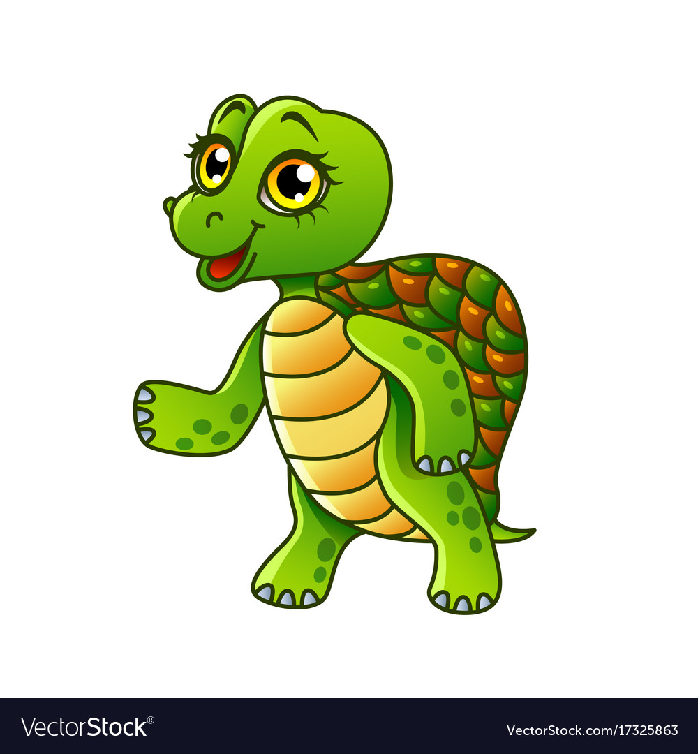 Cartoon turtle isolated Royalty Free Vector Image