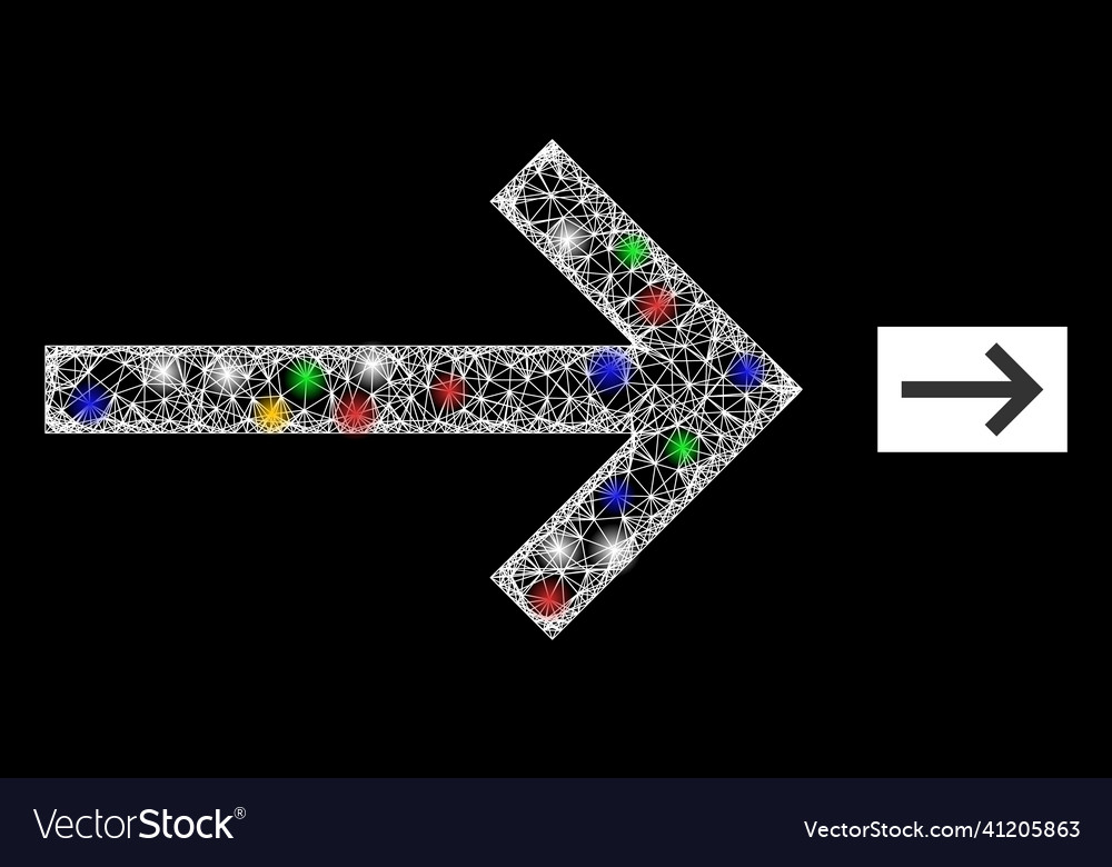 Net mesh next arrow icon with multicolored flash vector image Net mesh next arrow icon with multicolored flash