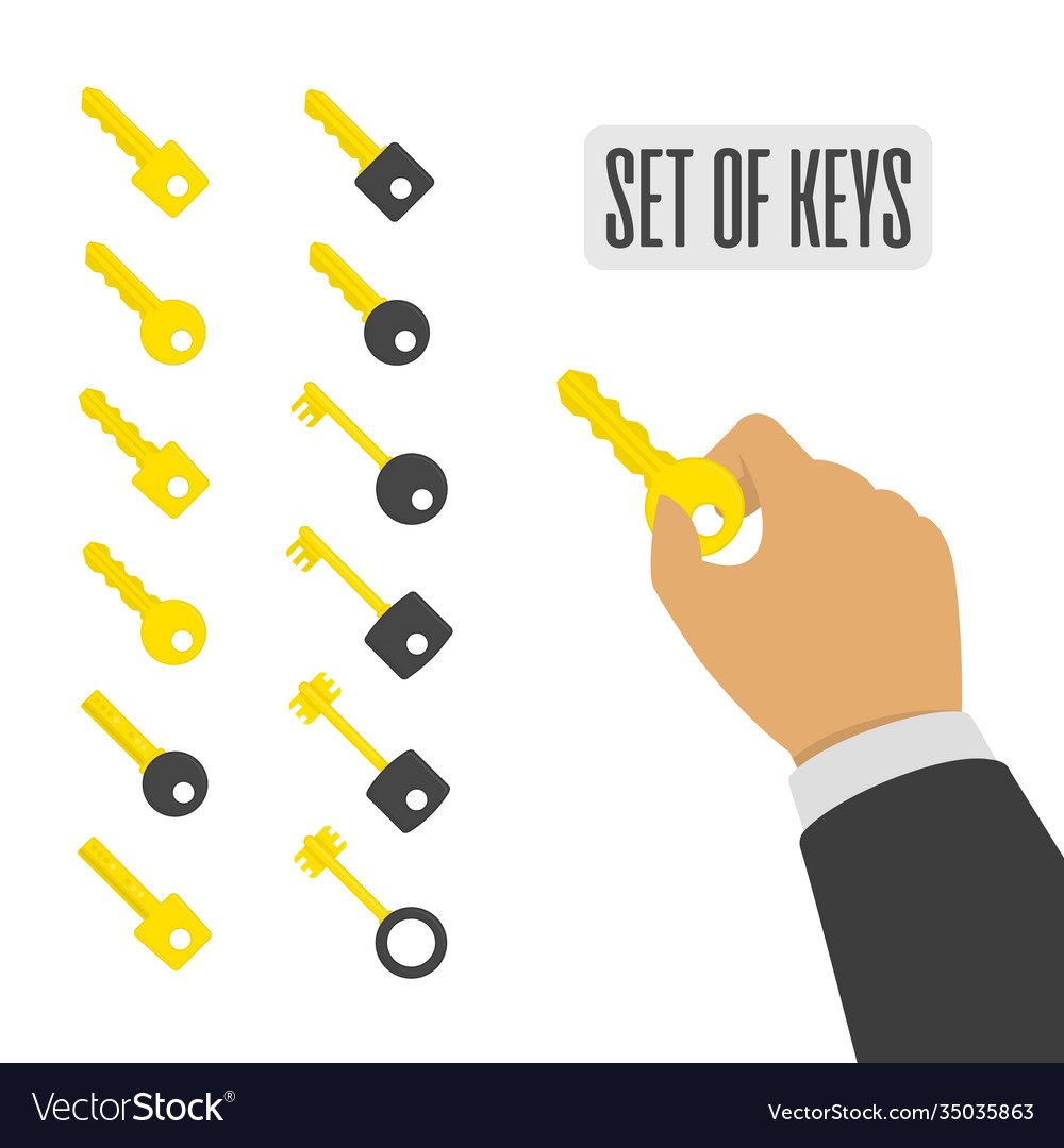 Set keys vector image Set keys