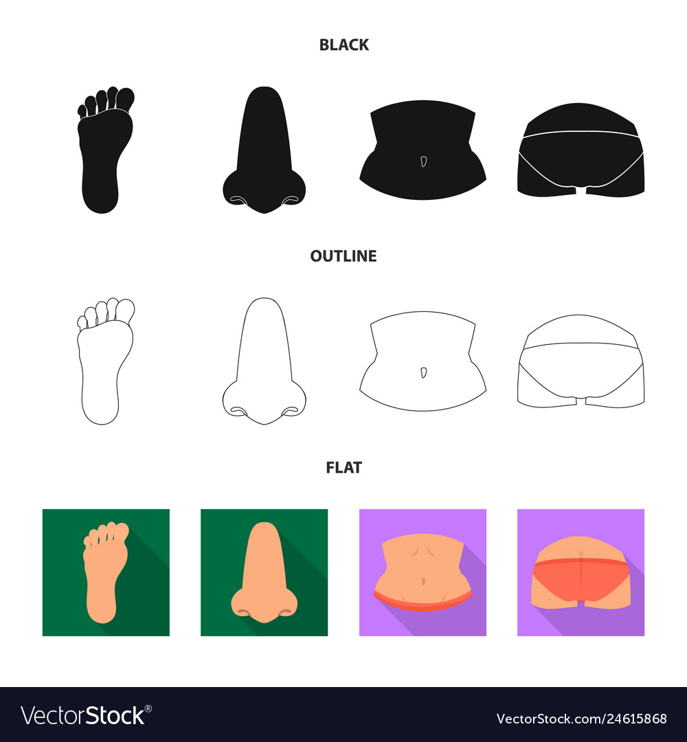 Design of body and part icon collection vector image Design of body and part icon collection