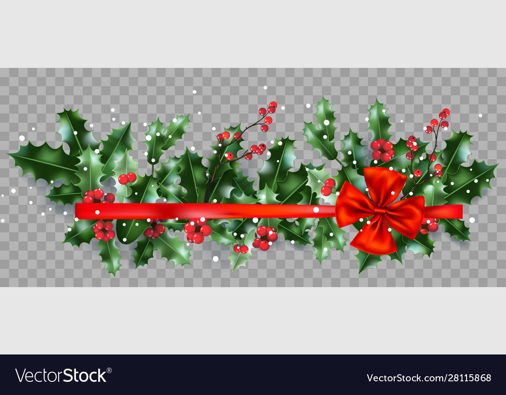 Holly and ribbon on transparent background Vector Image
