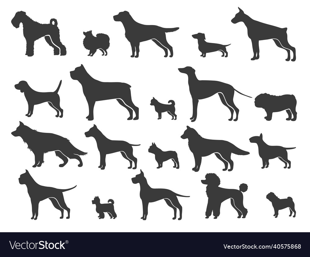 Pointer dog silhouette black dogs sizes Royalty Free Vector