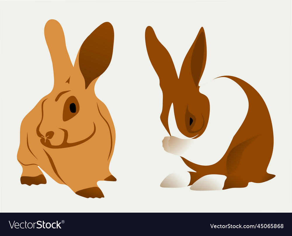 Two rabbit graphics elements for design