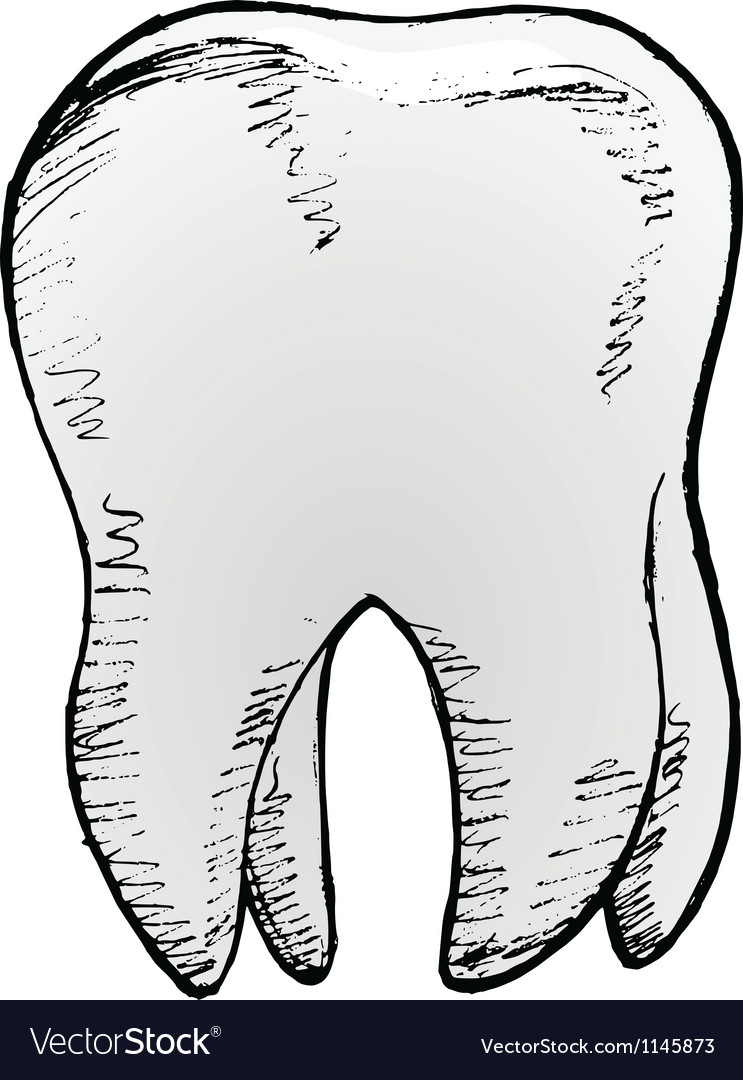 Tooth