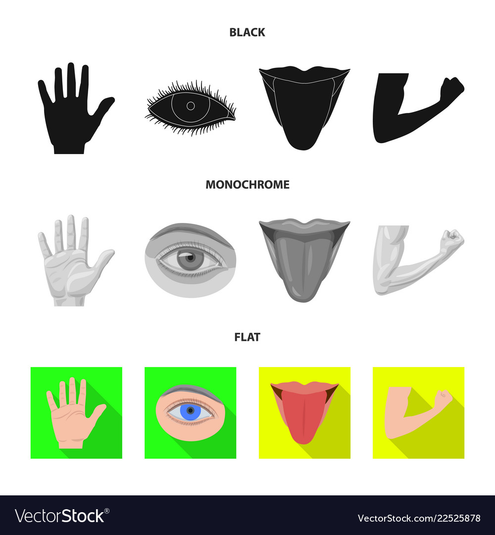 Design of human and part symbol set vector image Design of human and part symbol set