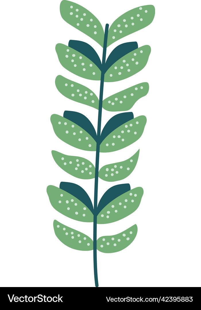 Branch with leafs Royalty Free Vector Image - VectorStock