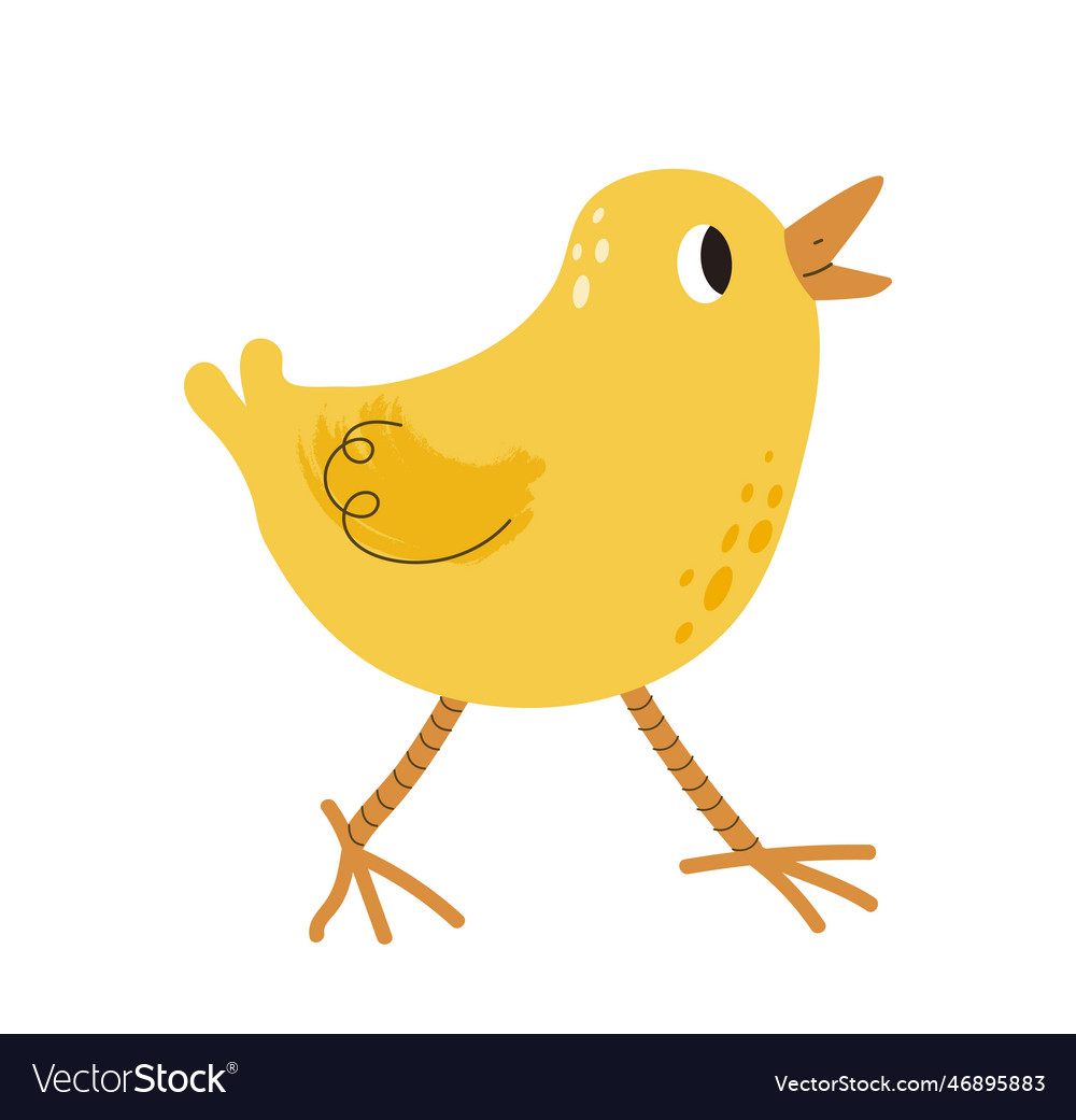 Cute yellow chick