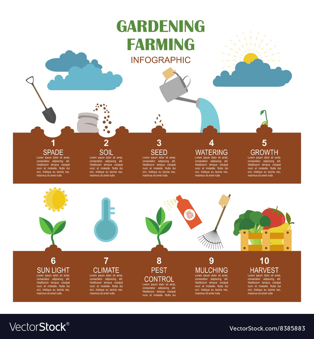 Gardening work farming infographic Graphic Vector Image