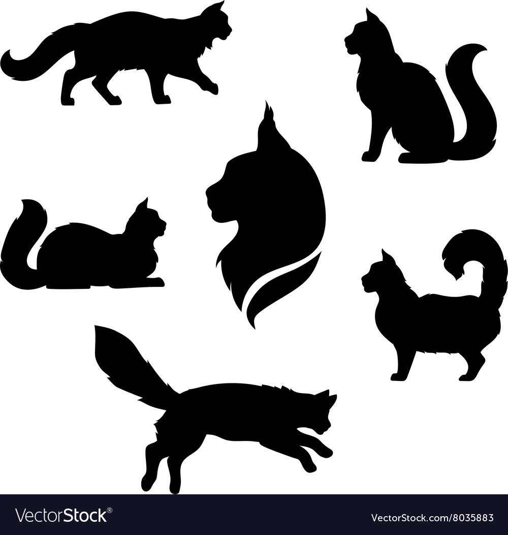 Cat silhouettes,Maine Coon cat icons and silhouettes,Sitting Maine