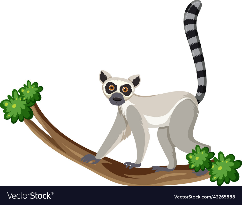 Lemur climb on tree branch Royalty Free Vector Image