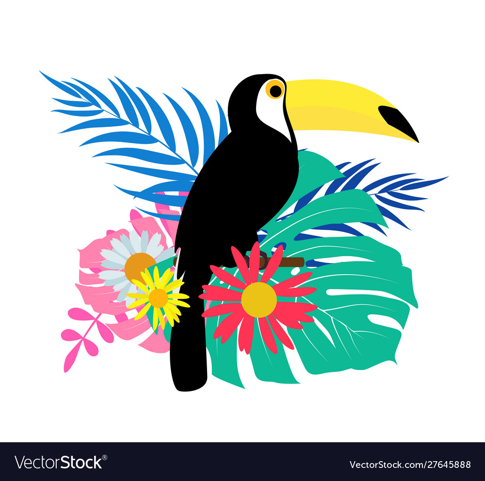 Toucan bird with palm leaves on white background