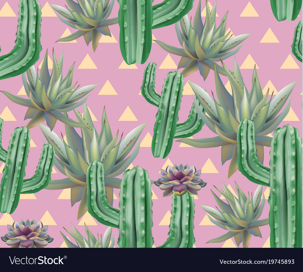 Cactus pattern texture modern pink