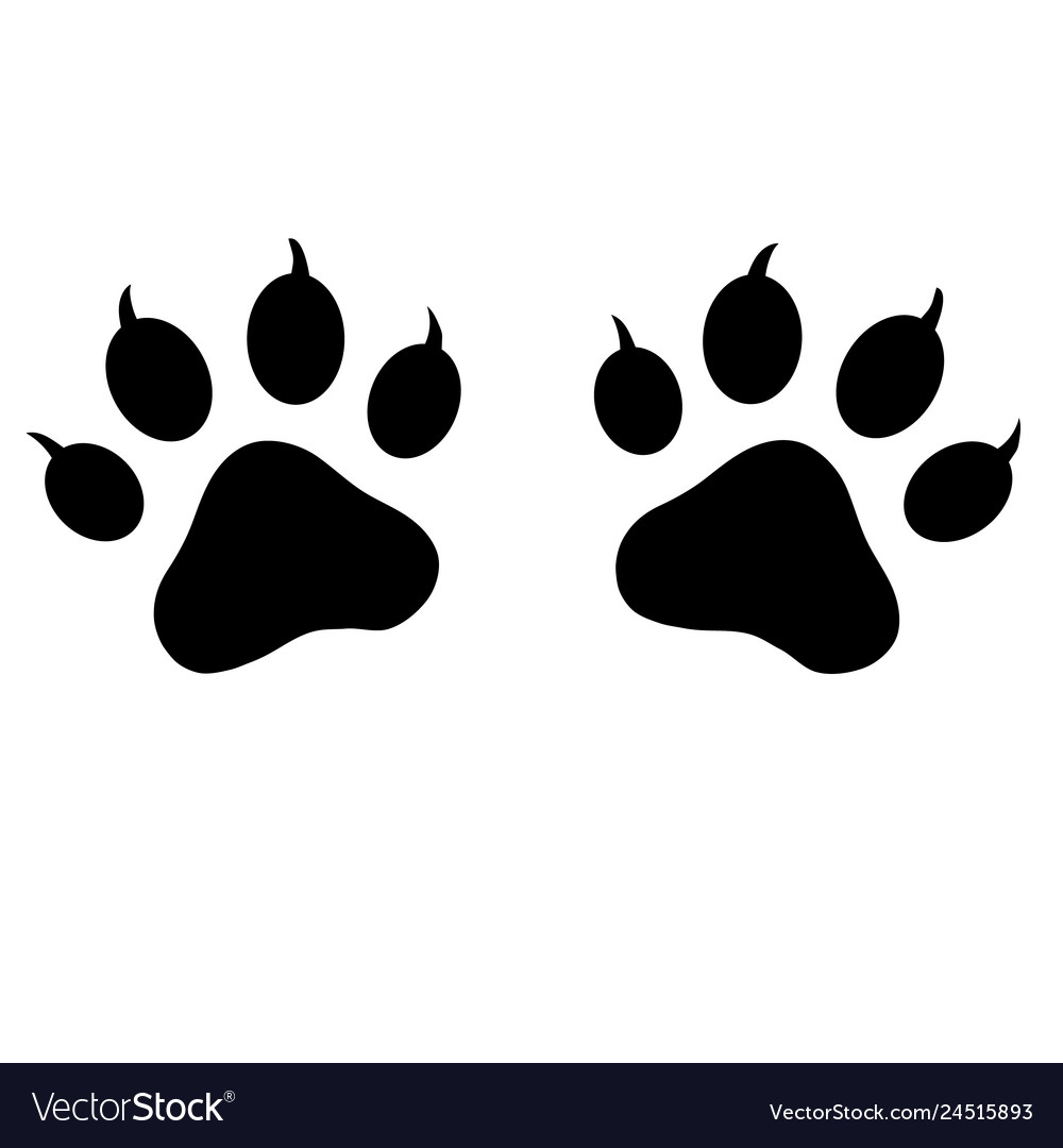 Cute Paw Prints Logo