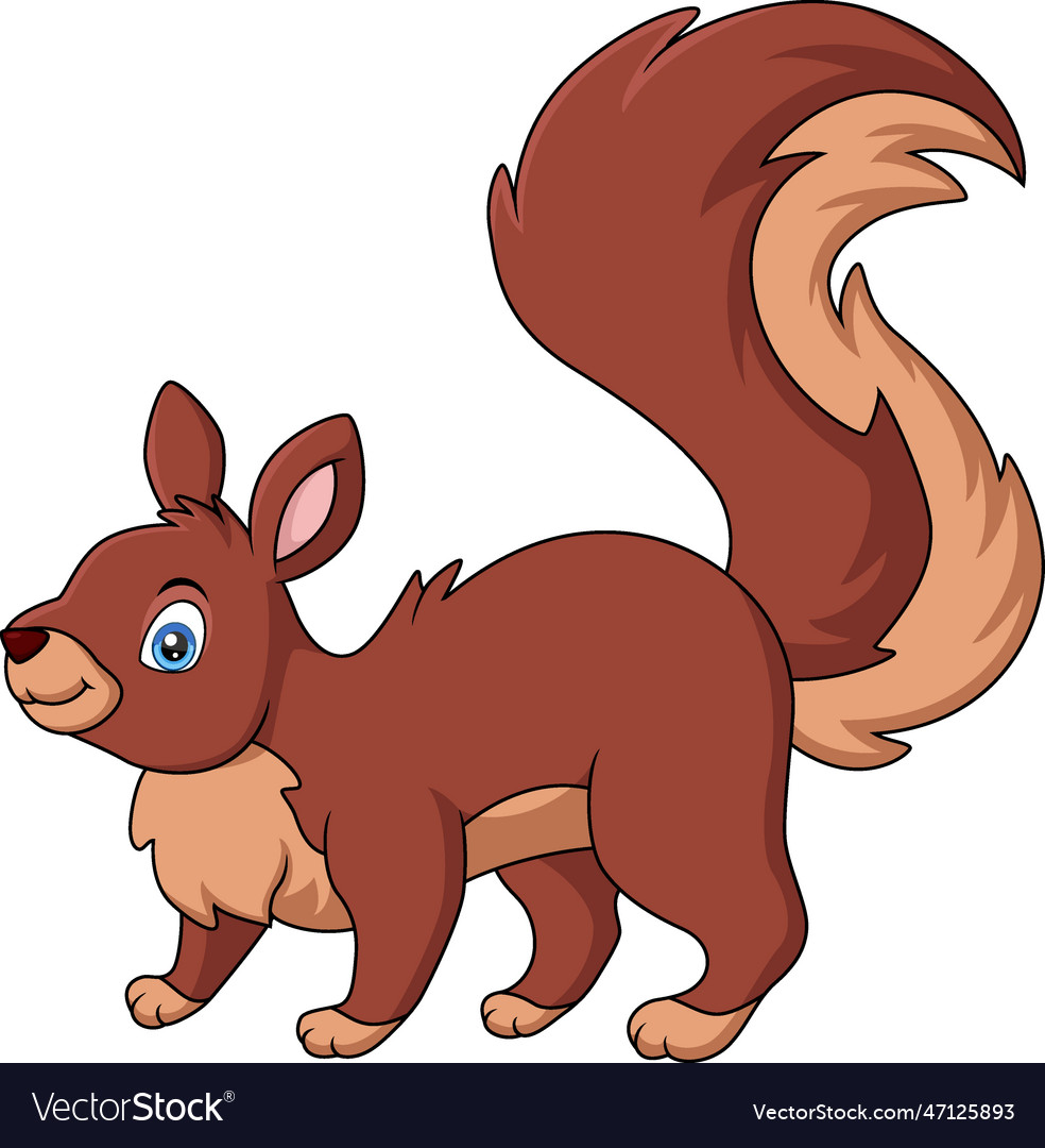 Cute squirrel cartoon on white background